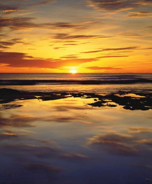California, San Diego, Sunset Cliffs tide pools